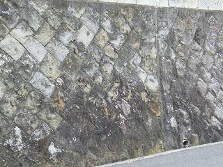 05024s.jpg 800x600 269KB 