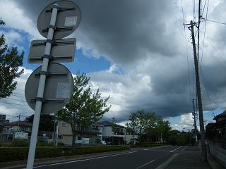 12038s.jpg 800x600 131KB 