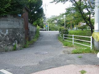 04003s.jpg 800x600 245KB 