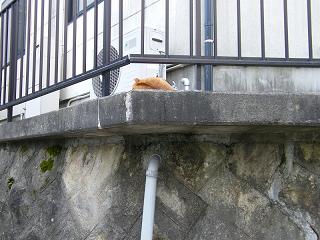 04007s.jpg 800x600 201KB 