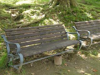 04010s.jpg 800x600 260KB 