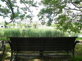 04011s.jpg 800x600 263KB 