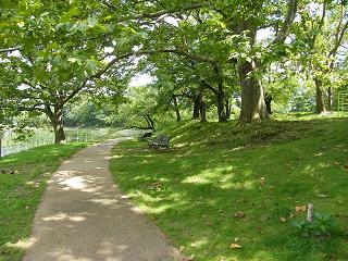 04015s.jpg 800x600 300KB 