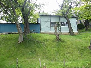 04020s.jpg 800x600 246KB 