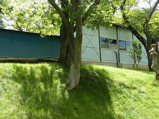 04021s.jpg 800x600 263KB 