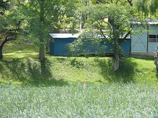 04023s.jpg 800x600 298KB 