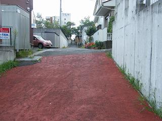 04026s.jpg 800x600 196KB 