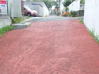 04029s.jpg 800x600 236KB 