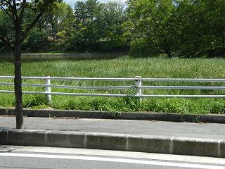 05025s.jpg 800x600 250KB 