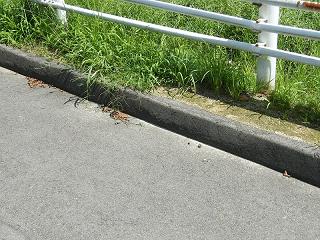 05027s.jpg 800x600 294KB 