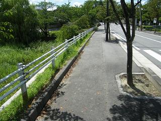 05028s.jpg 800x600 251KB 