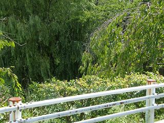 05029s.jpg 800x600 312KB 