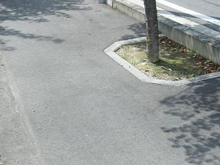 05032s.jpg 800x600 220KB 