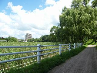 12040s.jpg 800x600 216KB 