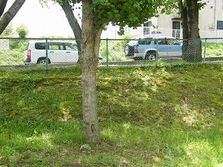 07021s.jpg 800x600 287KB 