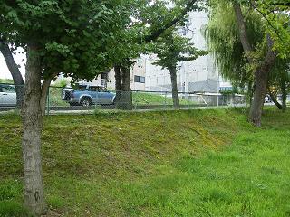 07033s.jpg 800x600 282KB 