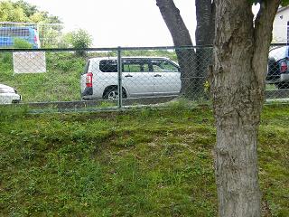 07035s.jpg 800x600 270KB 