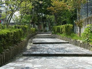 04030s.jpg 800x600 294KB 