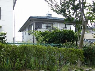 04031s.jpg 800x600 241KB 