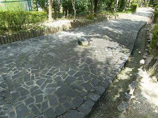 04032s.jpg 800x600 270KB 