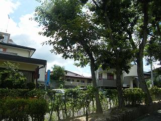 04033s.jpg 800x600 249KB 