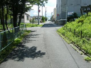 05017s.jpg 800x600 257KB 