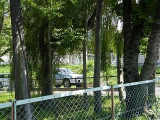 05019s.jpg 800x600 291KB 