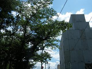 07002s.jpg 800x600 235KB 