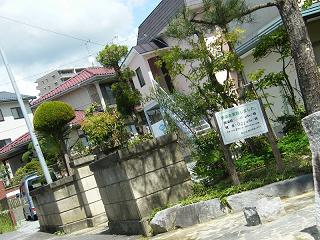 07008s.jpg 800x600 253KB 