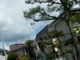 07009s.jpg 800x600 179KB 