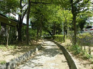 12039s.jpg 800x600 321KB 