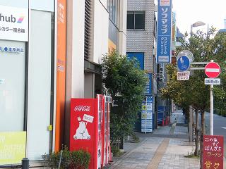 216089s.jpg 800x600 192KB 