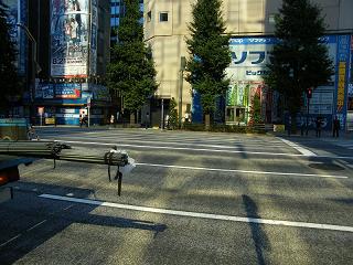 201044s.jpg 800x600 234KB 