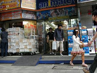 204027s.jpg 800x600 218KB 