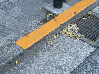 214085s.jpg 800x600 252KB 