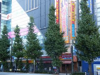 214088s.jpg 800x600 280KB 