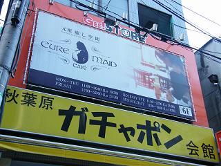 215003s.jpg 800x600 192KB 