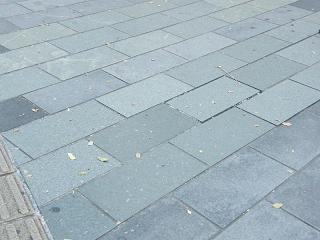 205095s.jpg 800x600 161KB 