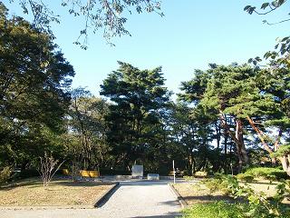 208057s.jpg 800x600 279KB 