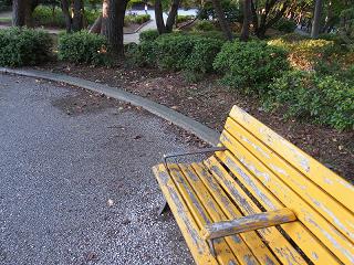 208059s.jpg 800x600 306KB 