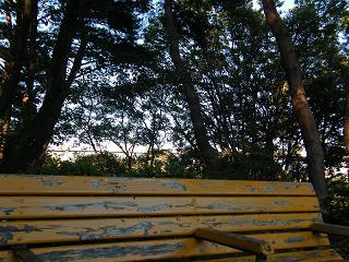 208060s.jpg 800x600 261KB 