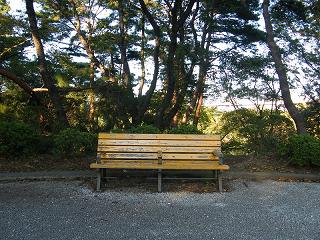 208061s.jpg 800x600 305KB 