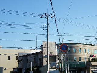 216040s.jpg 800x600 131KB 