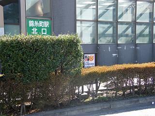 214148s.jpg 800x600 238KB 