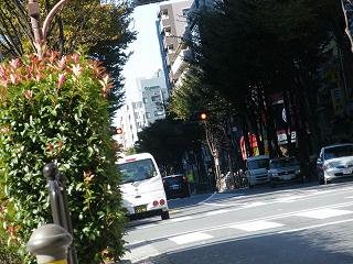 214159s.jpg 800x600 227KB 