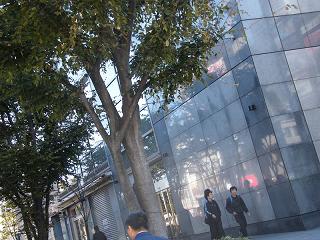 214163s.jpg 800x600 225KB 