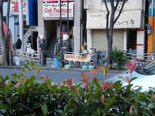 214185s.jpg 800x600 213KB 