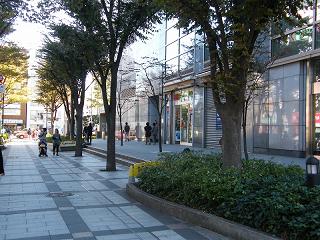 214189s.jpg 800x600 243KB 