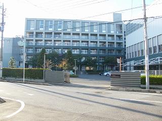 208002s.jpg 800x600 197KB 