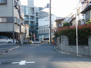 208008s.jpg 800x600 182KB 